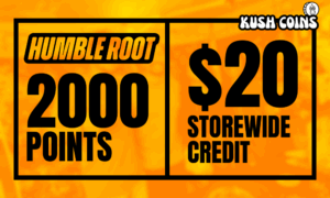 2000 Points: $20 Storewide Credit picture