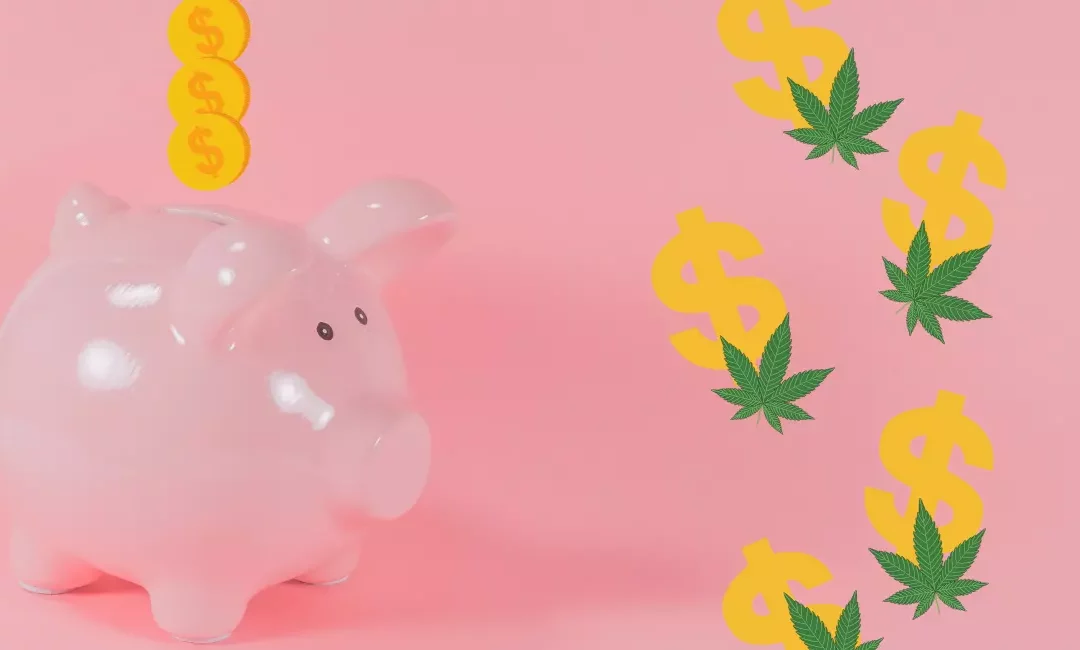 Why we upped our cannabis savings