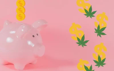 Why we upped our cannabis savings