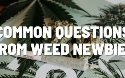 Common Questions from Weed Newbies