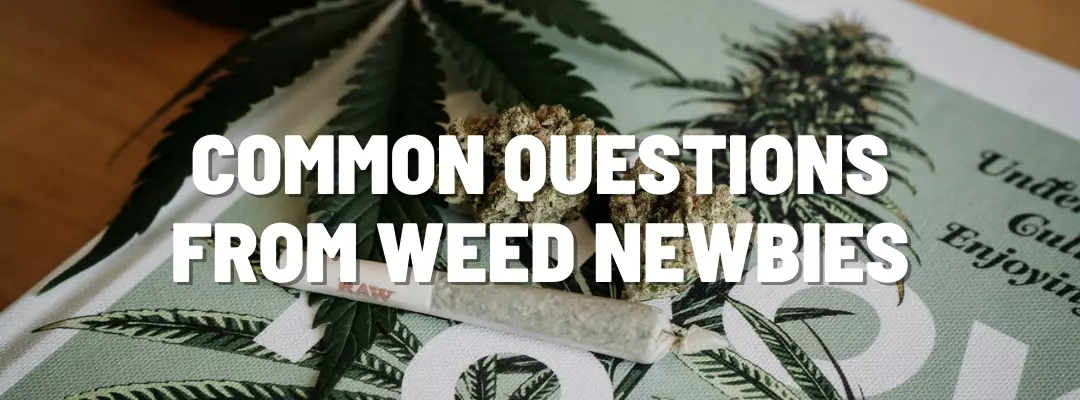 Common Questions from Weed Newbies