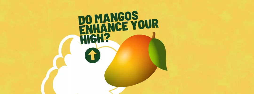 Do Mangos Enhance Your High?