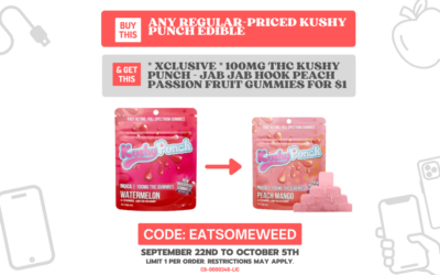 Kushy Punch BOGO