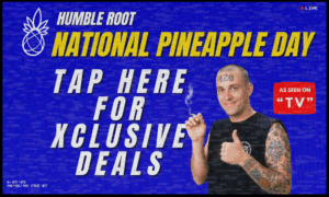 National Pineapple Day Bundles picture