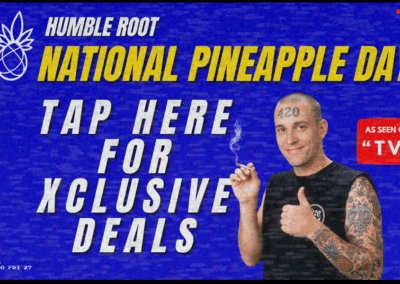 National Pineapple Day Bundles