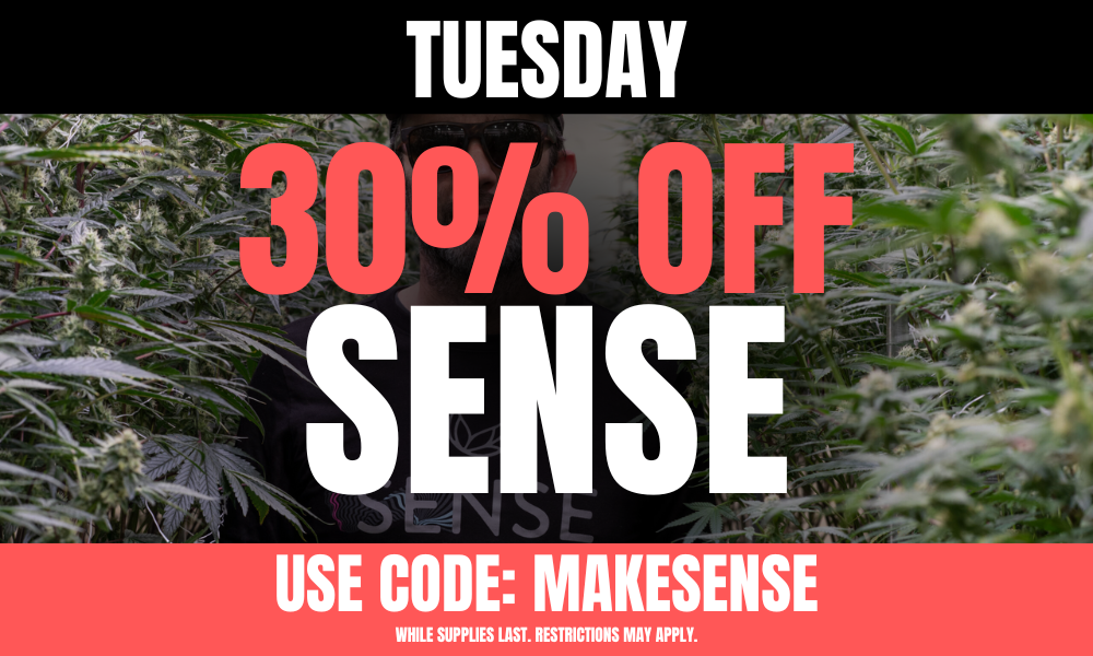 Tuesday: 30% off Sense picture