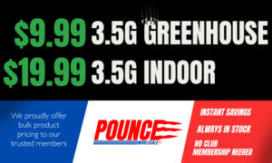 $9.99 Eighth picture