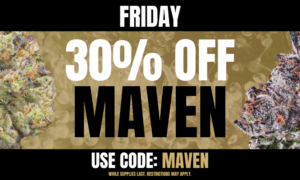Friday: 30% off Maven picture