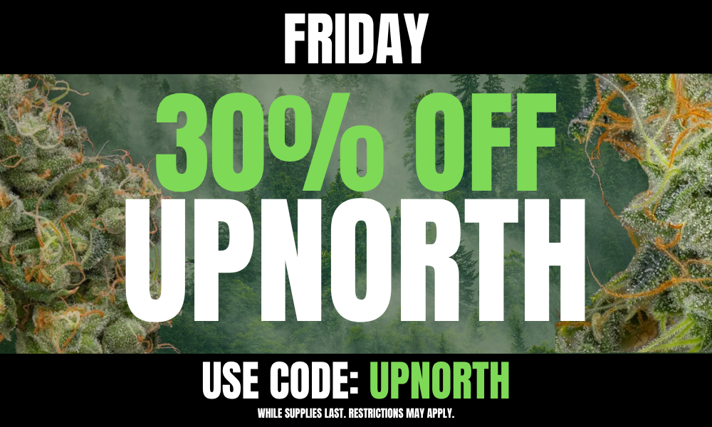 Friday: 30% off UpNorth picture