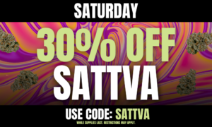 Saturday: 30% off SATTVA picture